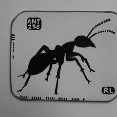 Ant 276