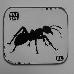 Ant 277