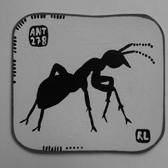 Ant 278