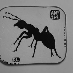 Ant 279