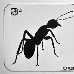 Ant 280