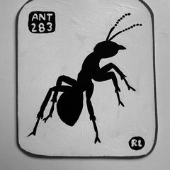 Ant 283