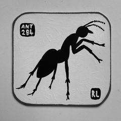 Ant 284