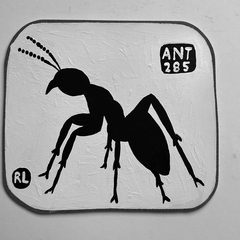Ant 285