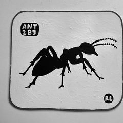 Ant 287