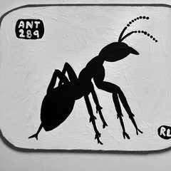 Ant 289