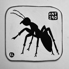 Ant 290