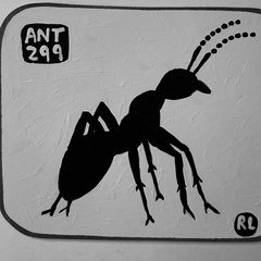 Ant 299