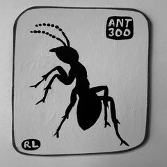 Ant 300