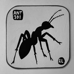 Ant 301