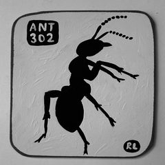 Ant 302