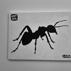 Ant 304