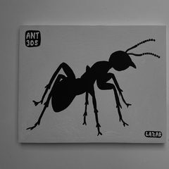 Ant 305