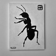 Ant 306