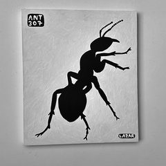 Ant 307