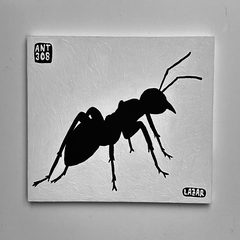 Ant 308