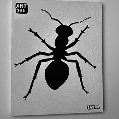 Ant 311