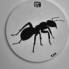 Ant 312