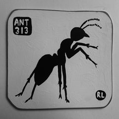 Ant 313