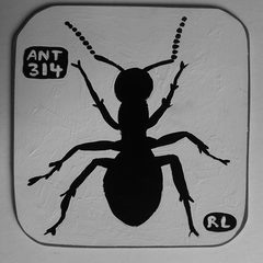 Ant 314