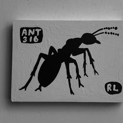 Ant 316