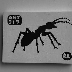 Ant 317