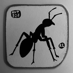 Ant 326