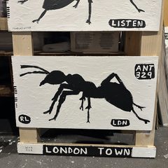 Ant 329