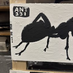 Ant 331