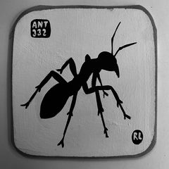 Ant 332