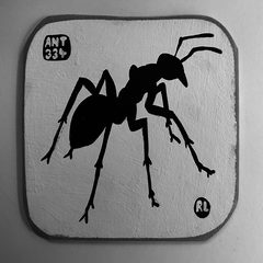 Ant 334