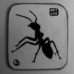Ant 335