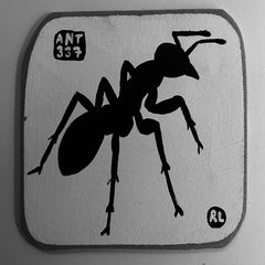 Ant 337