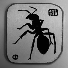 Ant 338