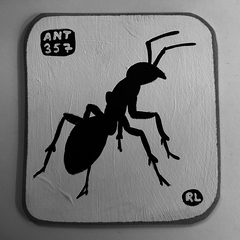 Ant 357