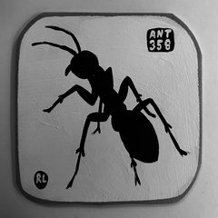 Ant 358