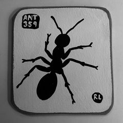 Ant 359