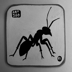Ant 360