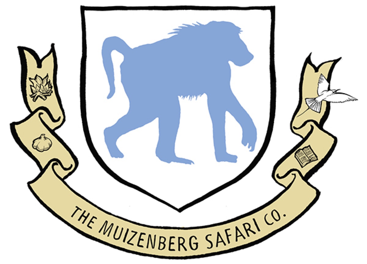 [46] Muizenberg Safari Co.