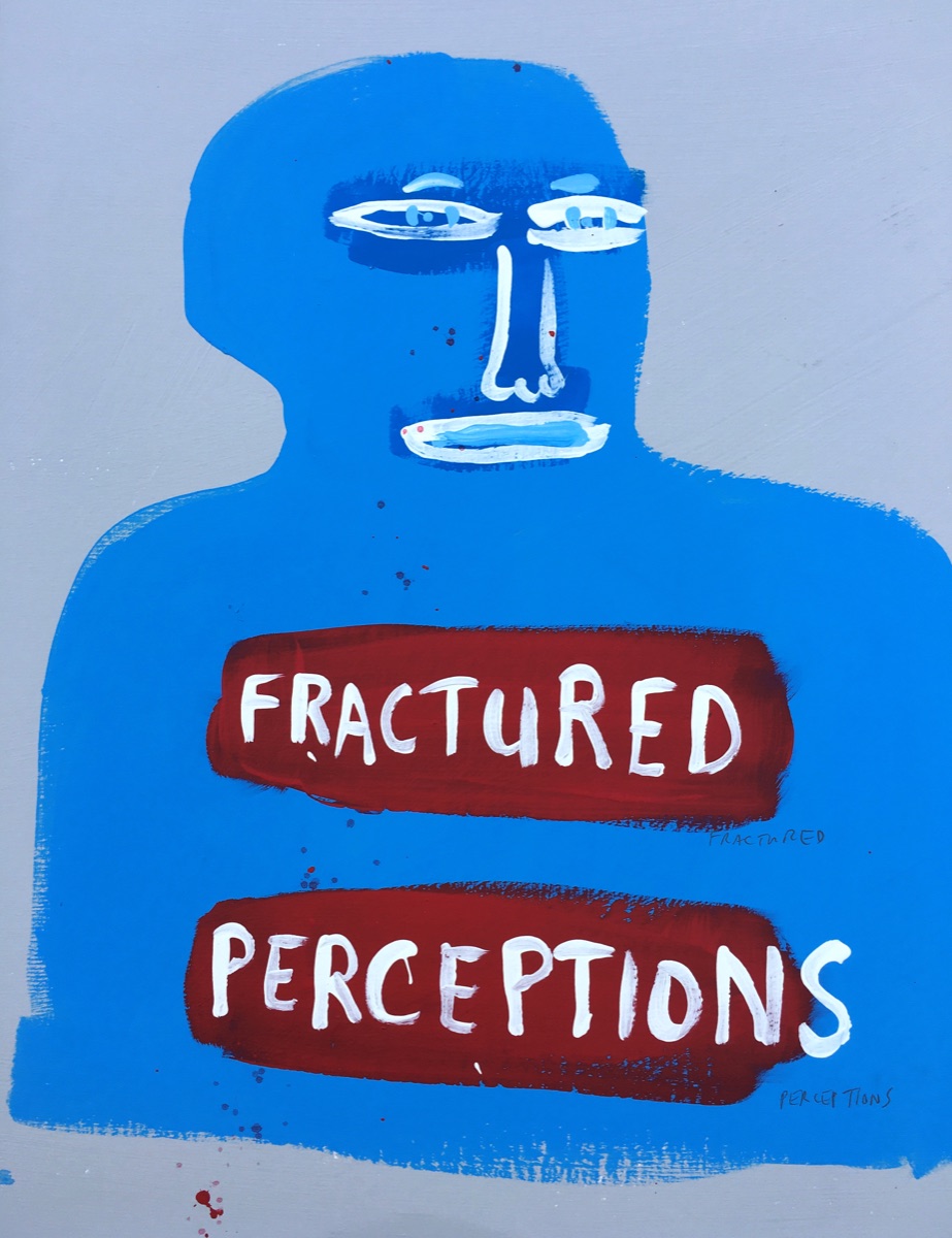 [454] Fractured Perceptions