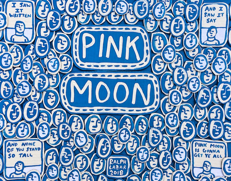 [81] Pink Moon